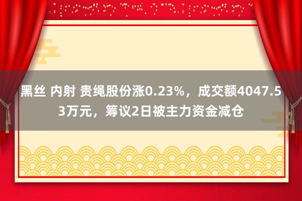 黑丝 内射 贵绳股份涨0.23%，成交额4047.53万元，