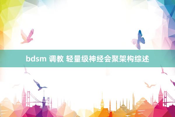 bdsm 调教 轻量级神经会聚架构综述